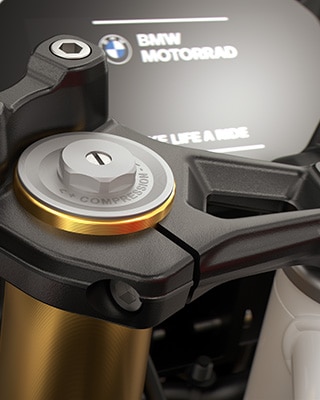 Zlata 43-mm obrnjena vzmetena vilica modela F 450 RR znamke BMW Motorrad